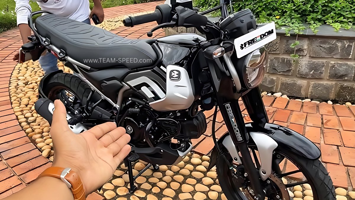 Bajaj Freedom CNG